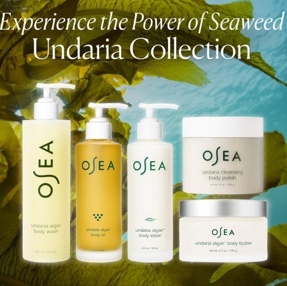 Osea Undaria Algae Body Oil, 1oz, NIB - Picture 6 of 9